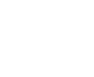 light logo